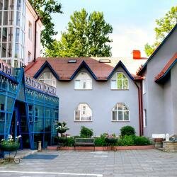 Гостиница Матисов домик Санкт-Петербург-170