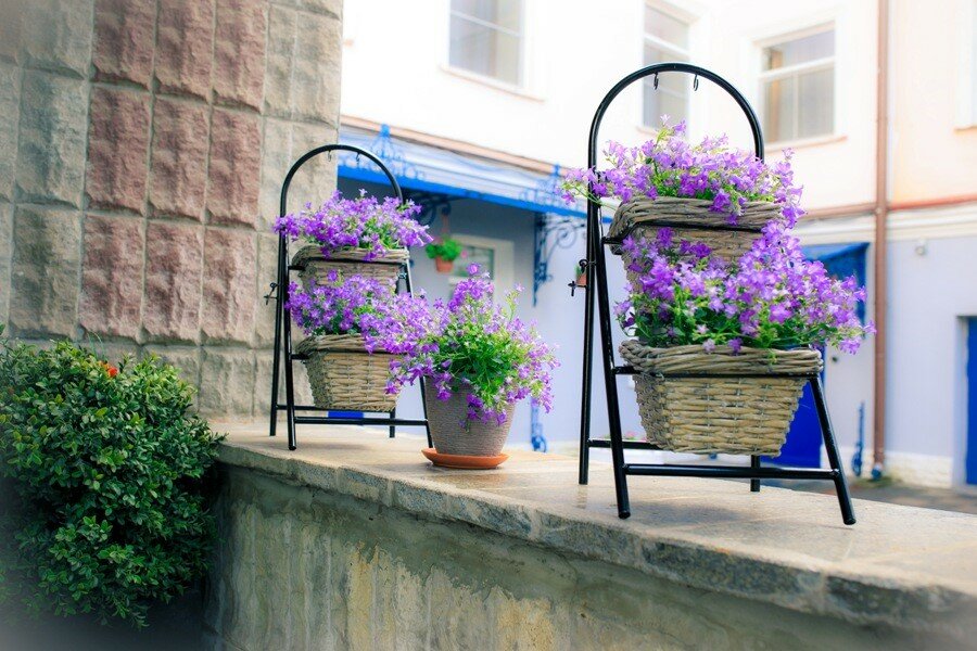 Гостиница Матисов домик Санкт-Петербург-56