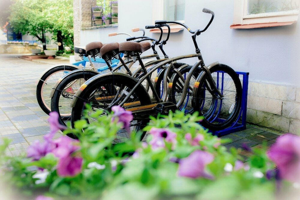 Гостиница Матисов домик Санкт-Петербург-46