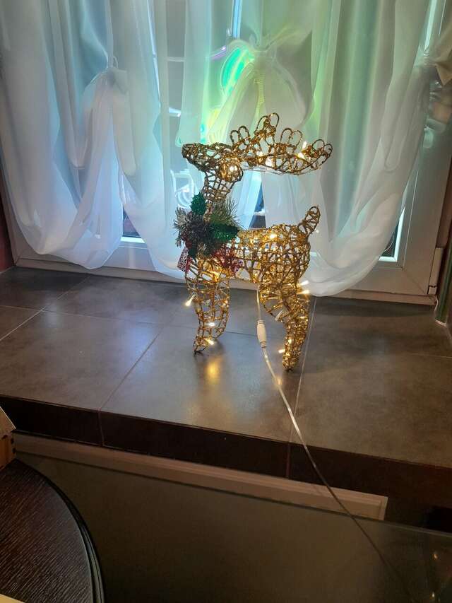 Гостиница Матисов домик Санкт-Петербург-157