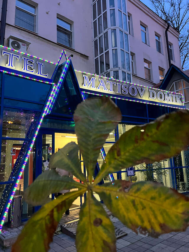 Гостиница Матисов домик Санкт-Петербург-63