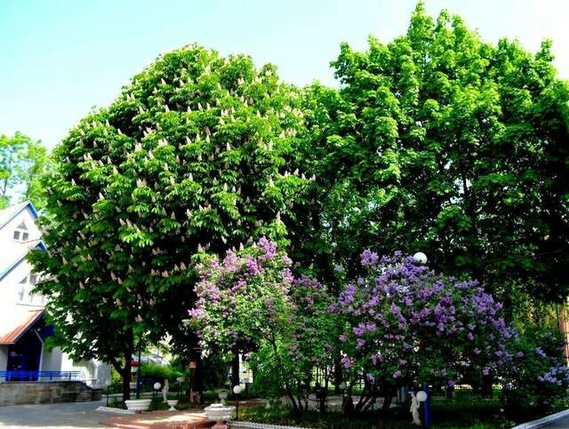 Гостиница Матисов домик Санкт-Петербург-24