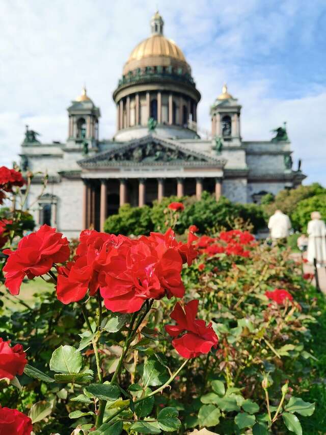 Гостиница Матисов домик Санкт-Петербург-11