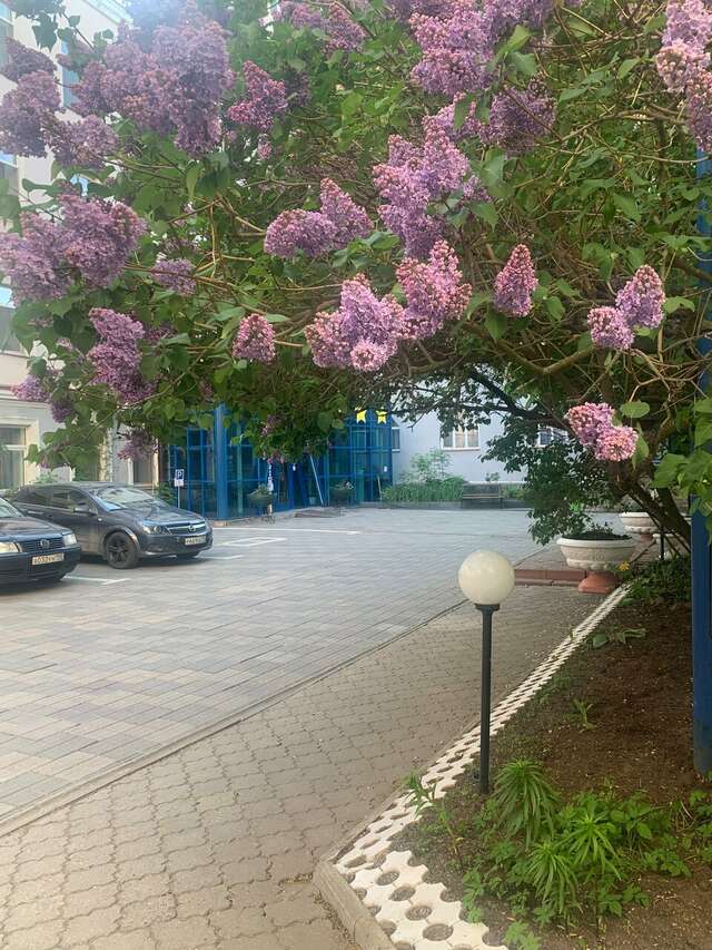 Гостиница Матисов домик Санкт-Петербург-101