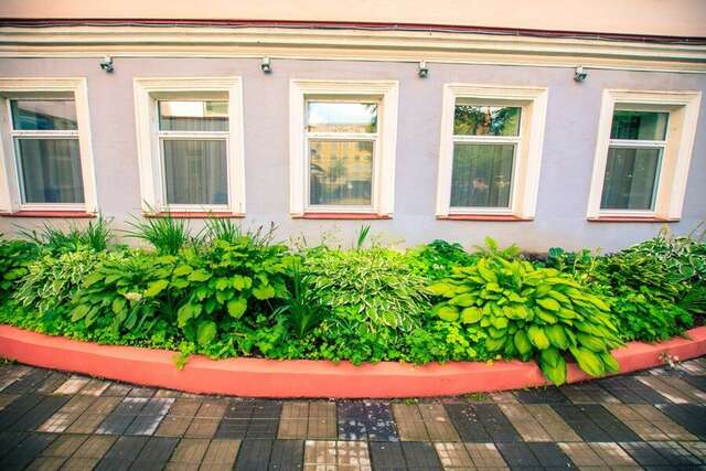 Гостиница Матисов домик Санкт-Петербург-59